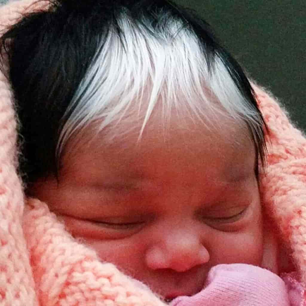  The baby’s special white hair was perfectly inherited from his mother