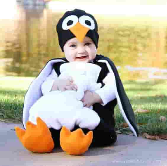 The unique and cute transformation of the babies in animal costumes attracted many loving interactions from the online community. 