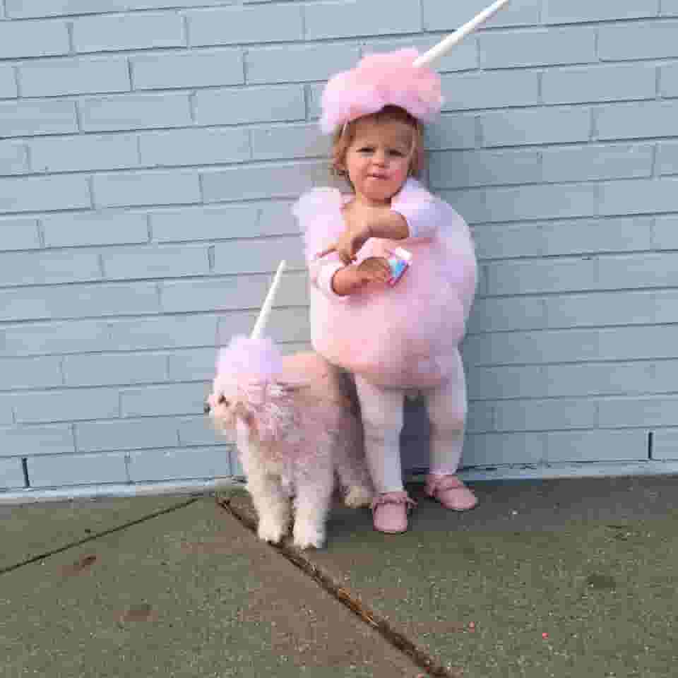 A Touch of Pink: Creating Adorable Cotton Candy Costumes for Kids and Pets.hanh