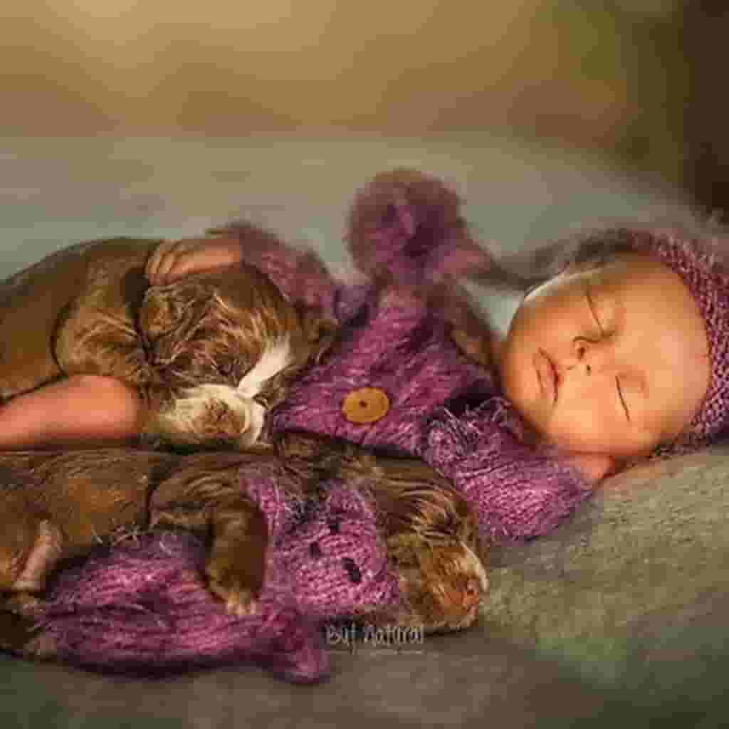 Captivating images of newborns cuddling adorable animals captured the hearts of the online community