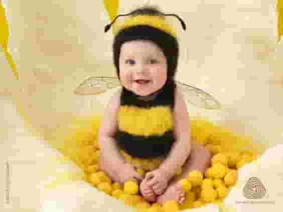 Buzzing with Cuteness: The Charm of Transforming into a Bee.hanh