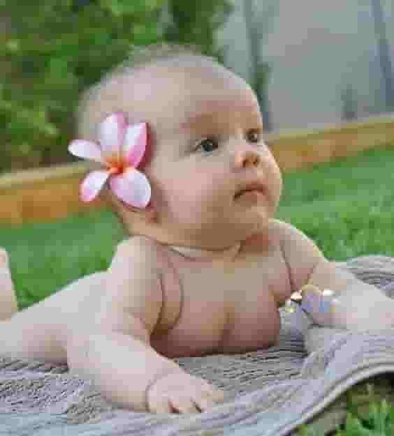 The Irresistible Charm of a Chubby Baby: Celebrating the Adorable Roundness of Childhood.hanh