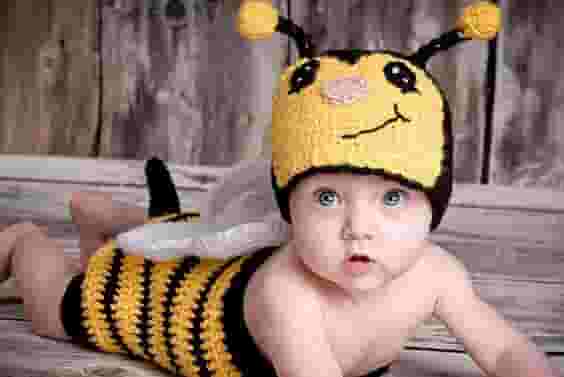 Buzzing with Cuteness: The Charm of Transforming into a Bee.hanh